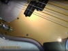 LUMA P GOLD 1